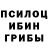 Псилоцибиновые грибы Cubensis Jorge Nates