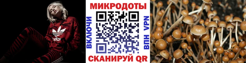 Псилоцибиновые грибы MAGIC MUSHROOMS  Азов 